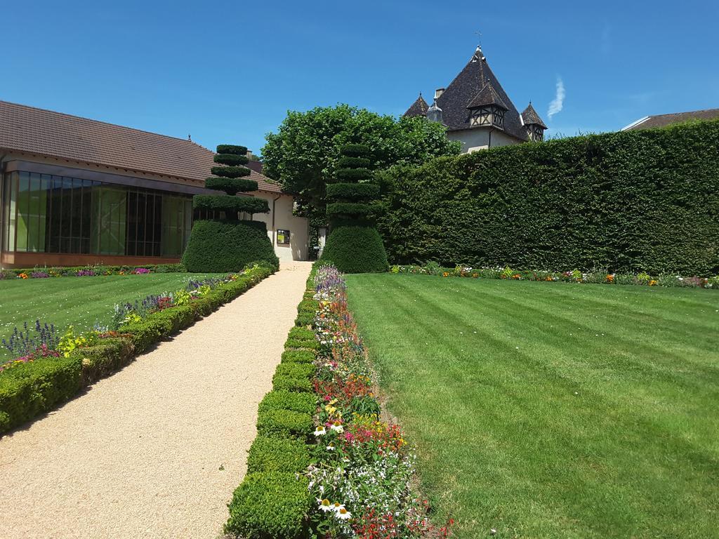 Chateau De Pizay Belleville-sur-Saone Bagian luar foto