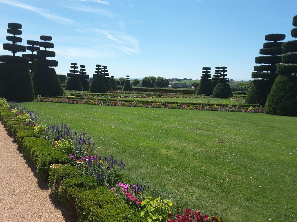 Chateau De Pizay Belleville-sur-Saone Bagian luar foto