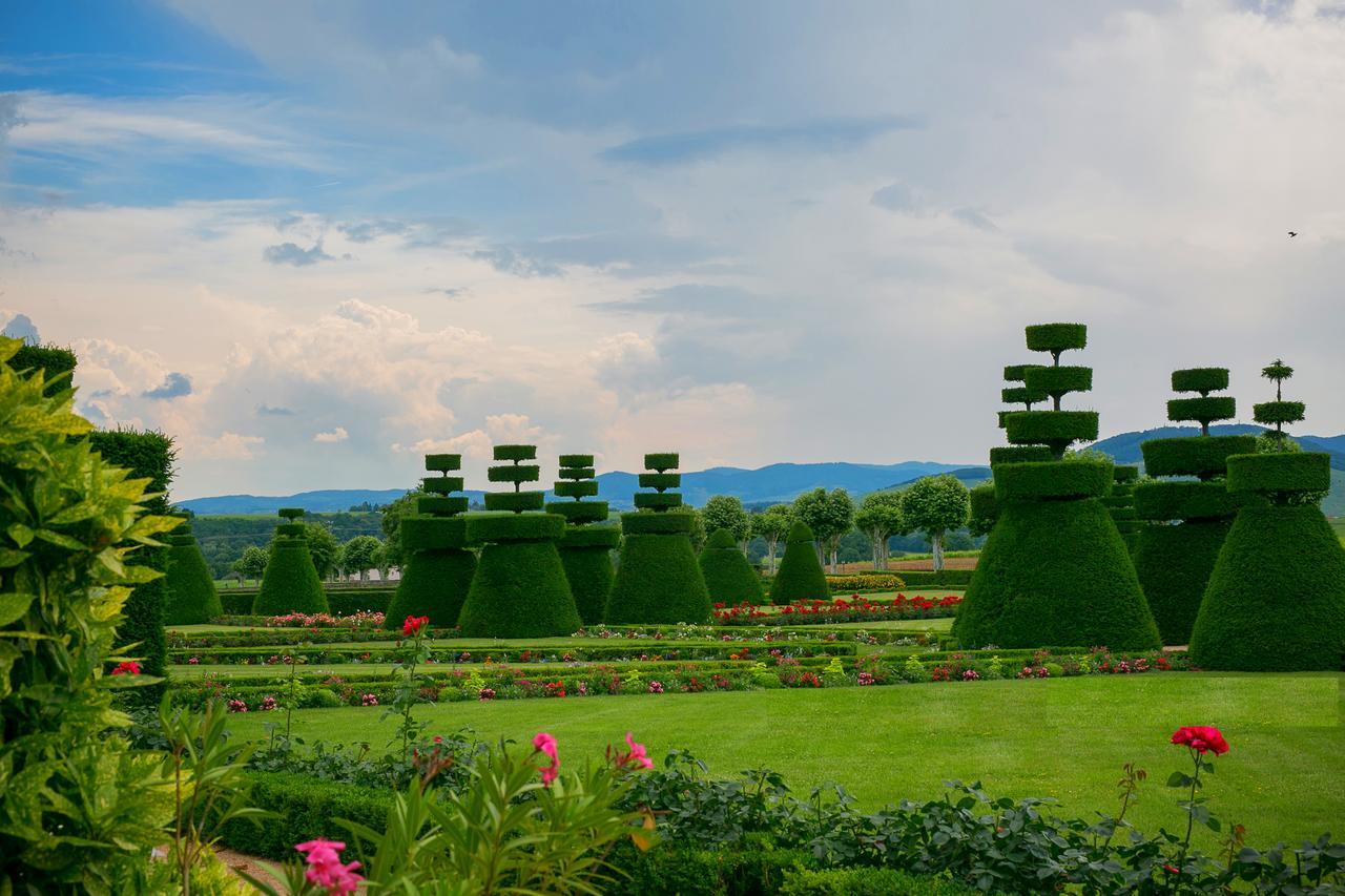 Chateau De Pizay Belleville-sur-Saone Bagian luar foto