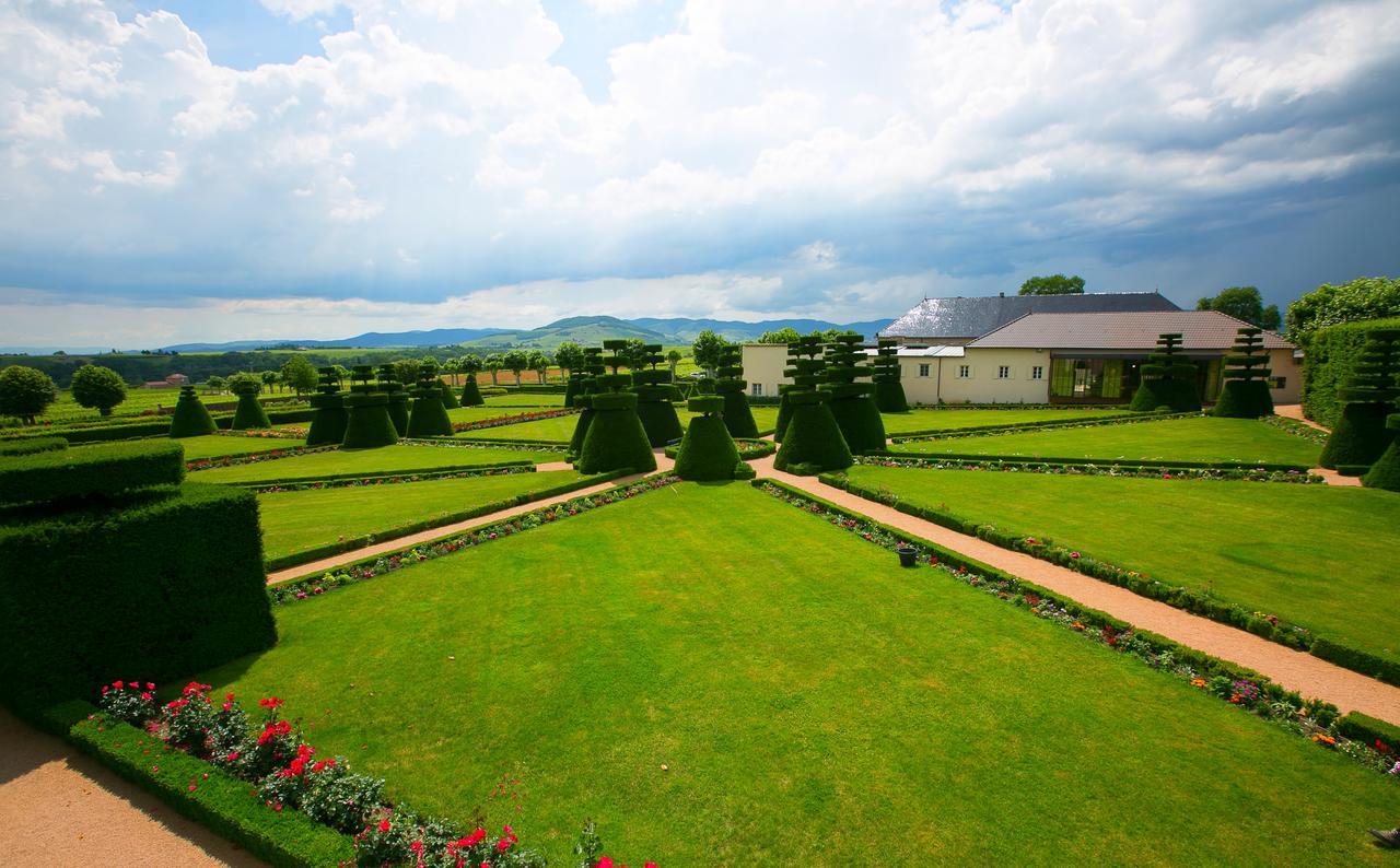 Chateau De Pizay Belleville-sur-Saone Bagian luar foto