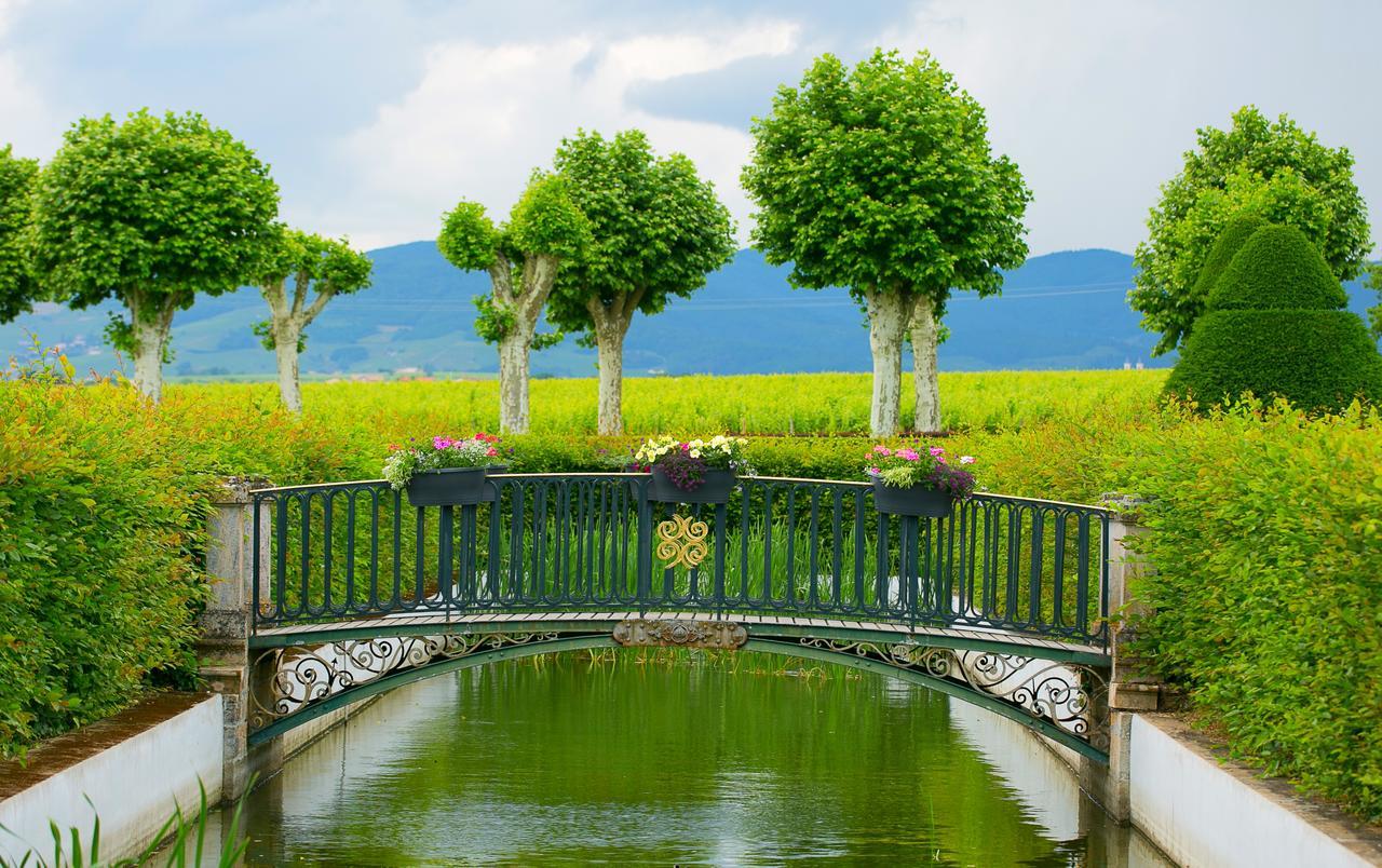 Chateau De Pizay Belleville-sur-Saone Bagian luar foto